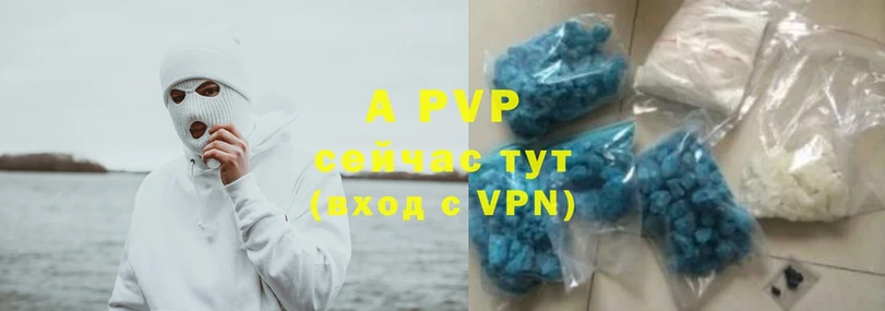 A PVP СК Кувшиново